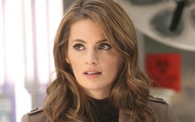 Stana Katic was 'Confused' and 'Hurt' by Controversial 'Castle' Exit